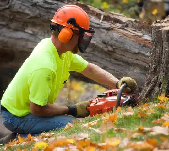 tree services Auxvasse